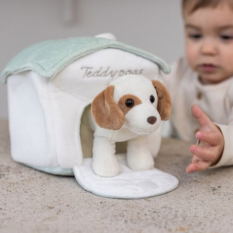 Teddykompaniet Maskotka pies Zestaw Teddy Dogs Teddykompaniet Maskotka pies Zestaw Teddy Dogs